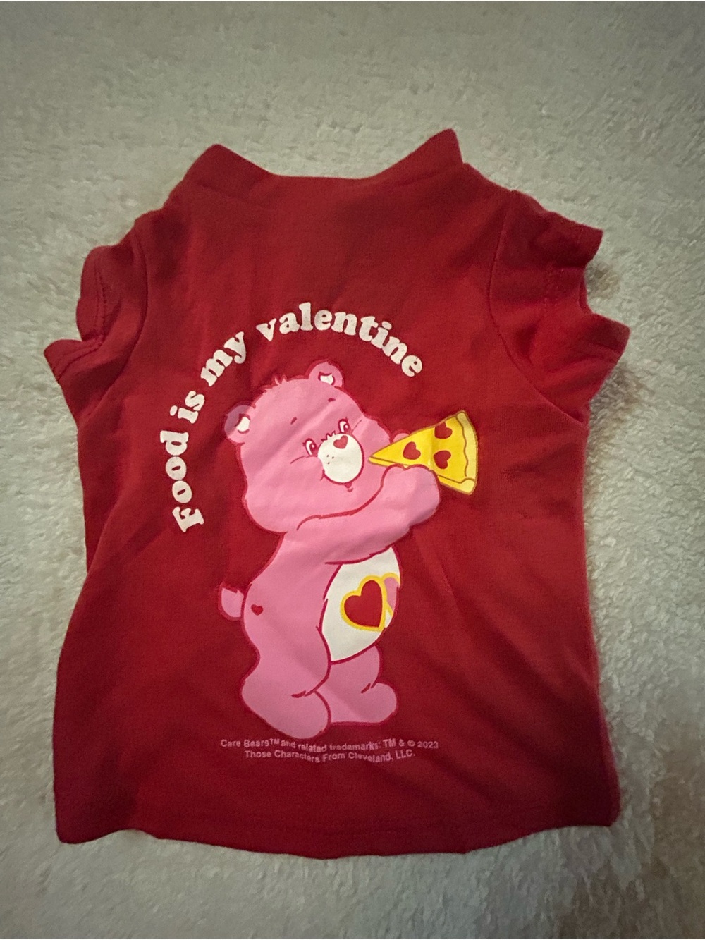 Food is my Valentine Dog Shirt
